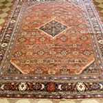 887 3641 ORIENTAL RUG